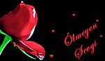 Resim