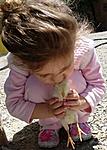 C�NNAMON