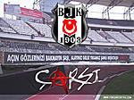 bjk18