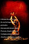 A�K ���R�