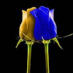 y1pPVWwBCgJ4Ze6ElvWiWUGS1miJdRDesFdINrBauzeOlOUqul0upAoupvv0MgBPEV0rySoo AiiT1GtsDuXJ1ulg