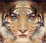Fantasy0034