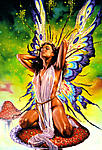 Fantasy0061