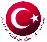 r bayragimiz 1