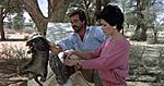 the gods must be crazy :))) 
 
filmi g�nl���mde ratel ile ilgili b�l�mde izleyebilirsiniz ultra komik