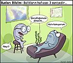 balik