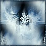 G�L  ve  Gece