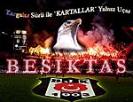 bjk1