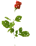 gl9ek