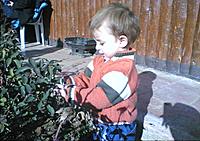 Ger�ek boyutunda g�r�nt�lemek i�in resme t�klay�n.

Ad�:  talhaa.JPG
G�sterim: 2089
Boyutu:  62.5 KB