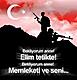 grup ta vatan�na g�z�n� k�rpmadan can�n� veren yi�itler i�in