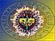 fenerbah�e'liler buraya