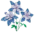 hareketli gul cicek gif resimleri 1