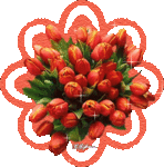 hareketli gul cicek gif resimleri 18