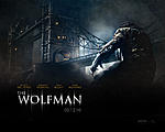 Wolfmann