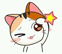 IMG 20190221 135449 539