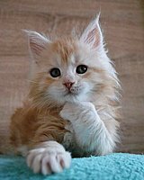 IMG 20190221 135816 414