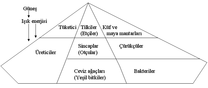 Ad:  ekosistem.PNG
Gsterim: 2889
Boyut:  21.1 KB