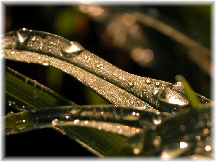 Ad:  28683910.jpg
Gsterim: 412
Boyut:  48.6 KB