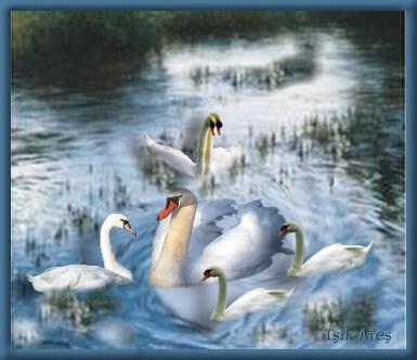 Ad: cirkino8.jpg
Gösterim: 960
Boyut: 28.8 KB