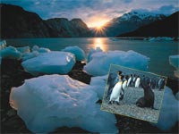 Ad: 025.jpg
Gösterim: 314
Boyut: 7.3 KB