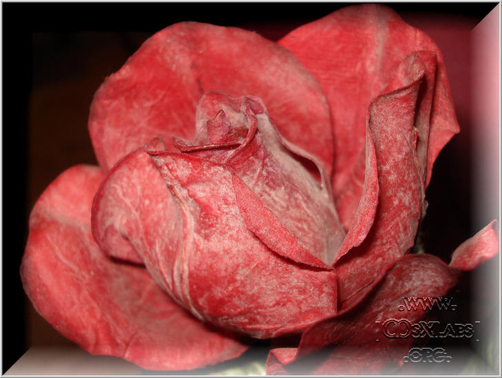 Ad:  DSC00651.jpg
Gsterim: 234
Boyut:  65.7 KB