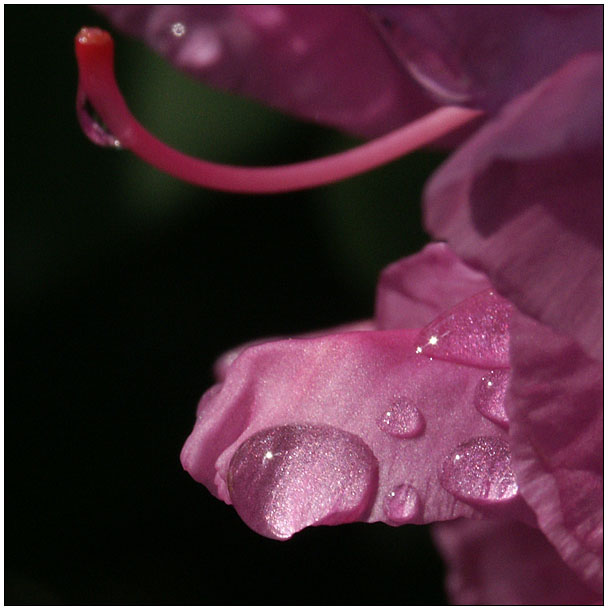 Ad:  17622859.jpg
Gsterim: 208
Boyut:  71.7 KB