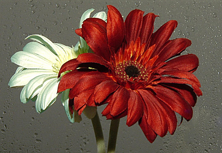 Ad:  40938100.jpg
Gsterim: 330
Boyut:  83.8 KB