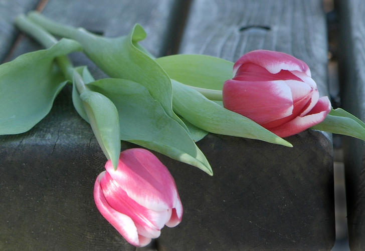 Ad:  55053569.jpg
Gsterim: 287
Boyut:  45.4 KB