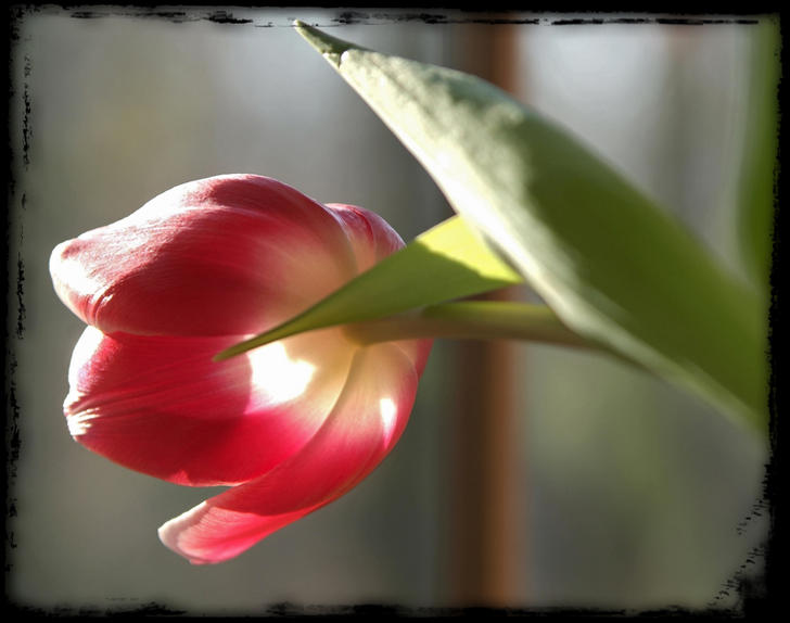 Ad:  55090928.jpg
Gsterim: 268
Boyut:  38.4 KB