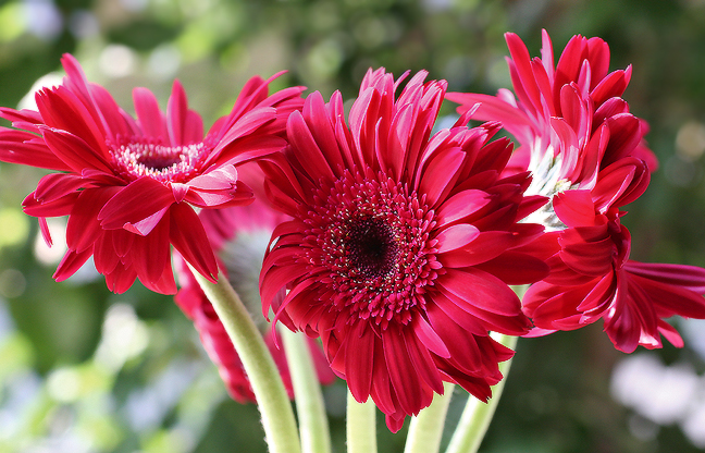 Ad:  61391042.jpg
Gsterim: 346
Boyut:  354.9 KB