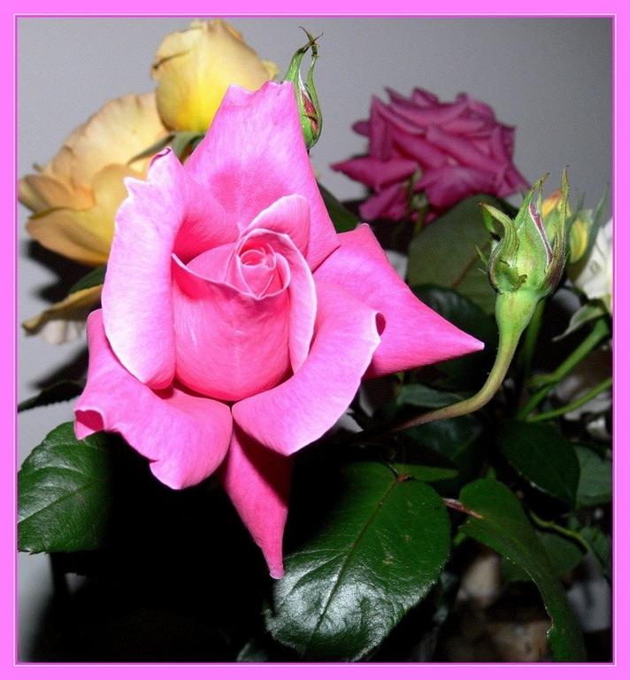 Ad:  many_thanks.jpg
Gsterim: 279
Boyut:  68.7 KB