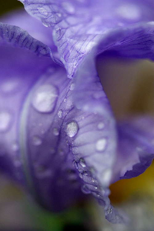 Ad:  59026383.jpg
G�sterim: 244
Boyut:  359.8 KB