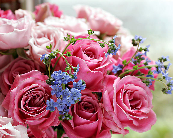 Ad:  65940038.jpg
Gsterim: 294
Boyut:  192.2 KB