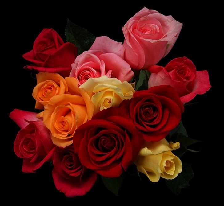 Ad:  69384404.jpg
Gsterim: 436
Boyut:  44.5 KB