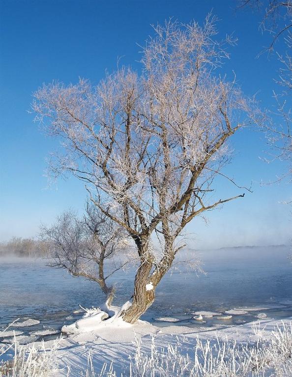 Ad:  731946094.jpg
Gsterim: 257
Boyut:  100.7 KB