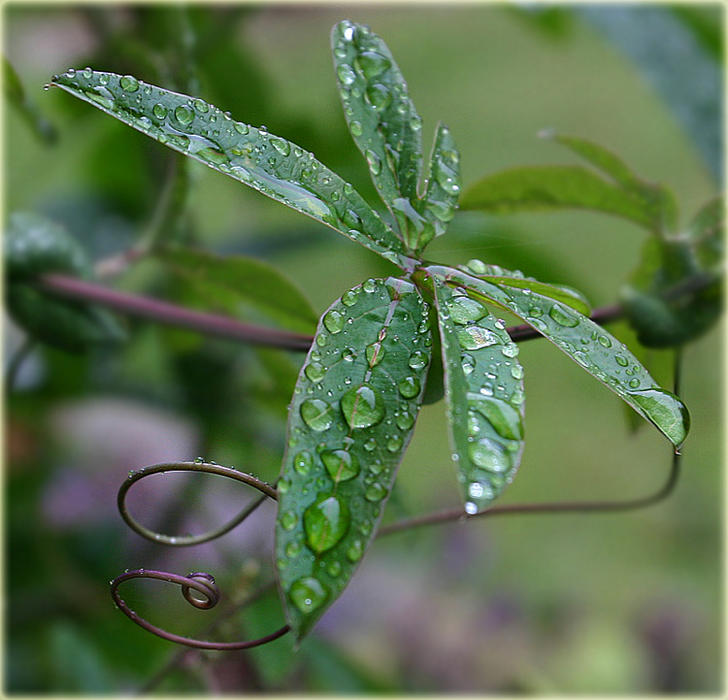 Ad:  31345372.jpg
G�sterim: 186
Boyut:  73.4 KB