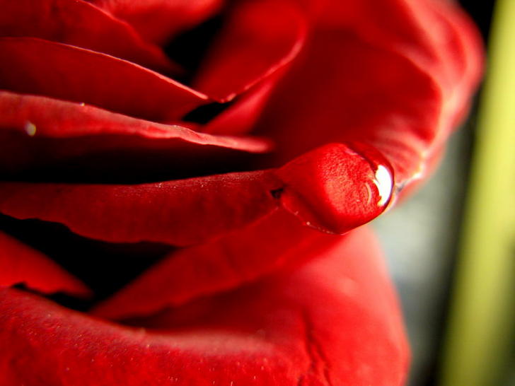 Ad:  77407020.jpg
G�sterim: 171
Boyut:  34.9 KB