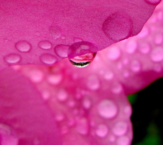 Ad:  74705950.jpg
G�sterim: 170
Boyut:  55.8 KB