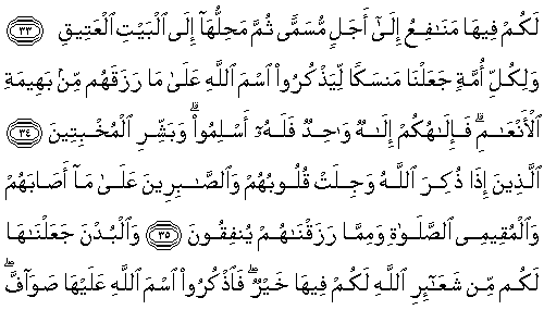 Ad: 22-035-10.gif
Gösterim: 188
Boyut: 6.6 KB