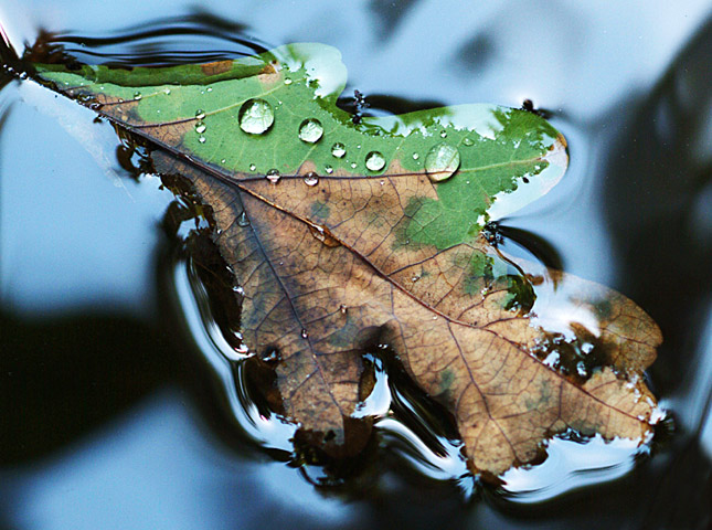 Ad:  18141605.JPG
G�sterim: 292
Boyut:  137.8 KB