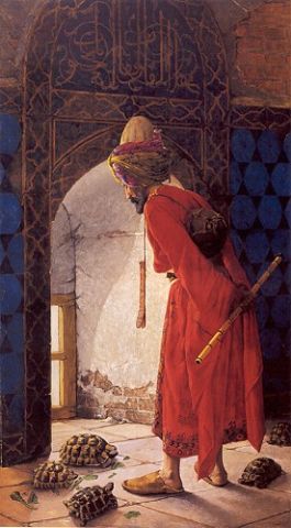 Ad: Schildkrötenerzieher.jpg
Gösterim: 576
Boyut: 29.0 KB