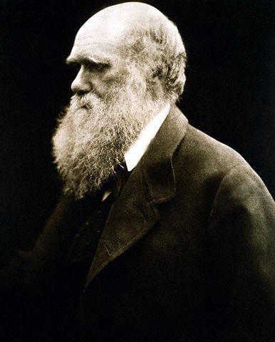 Ad: Charles_Darwin_by_Julia_Margaret_Cameron.jpg
Gösterim: 450
Boyut: 118.9 KB