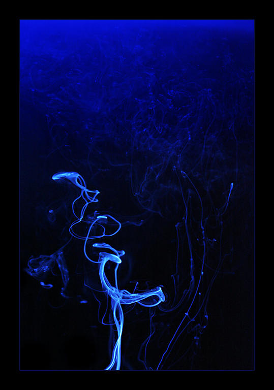 Ad:  1982395-fc.jpg
Gsterim: 2181
Boyut:  46.2 KB