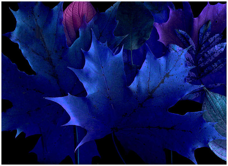 Ad:  some_blue____by_karil.jpg
Gsterim: 466
Boyut:  72.9 KB