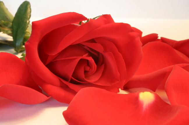 Ad:  58114813.4_2_2006b.jpg
Gsterim: 327
Boyut:  81.5 KB