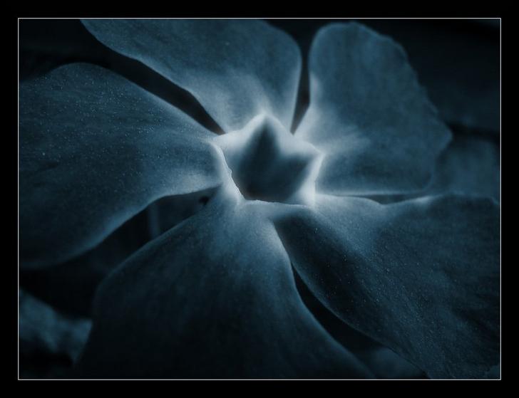 Ad:  Star_by_Tolkienmaster.jpg
Gsterim: 437
Boyut:  29.1 KB