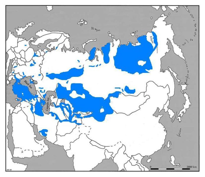 Ad: 694px-Turkicworldmap.JPG
Gösterim: 1744
Boyut: 64.5 KB
