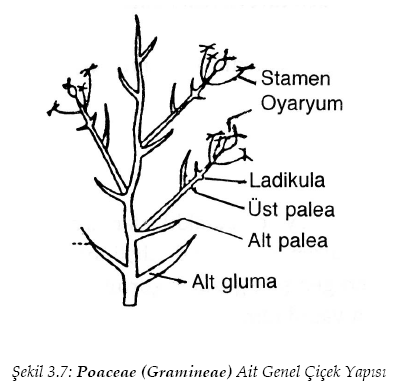 Ad: sekil3_7.PNG
Gösterim: 1075
Boyut: 46.4 KB