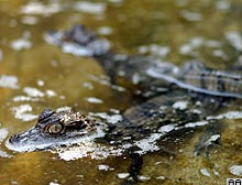 Ad: ekopark.jpg
Gösterim: 1346
Boyut: 12.5 KB